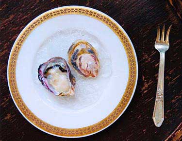 two oysters on a plate